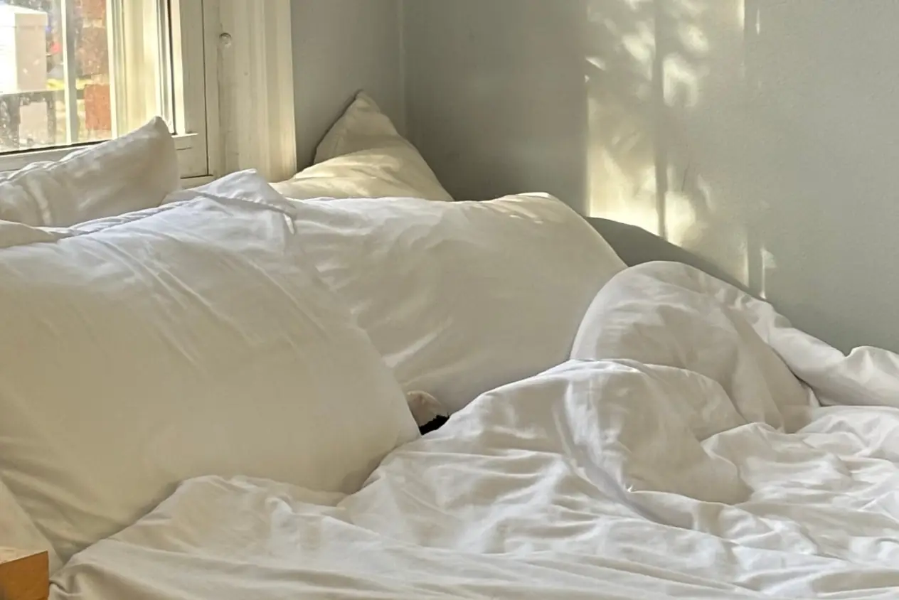 Boll & Branch Bedding Sheets Duvet Set Blanket Review